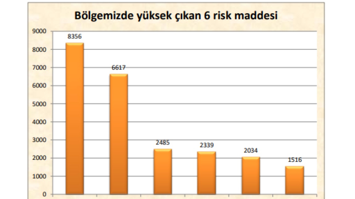 Fatsa RAM Bölge Risk Haritası Raporu